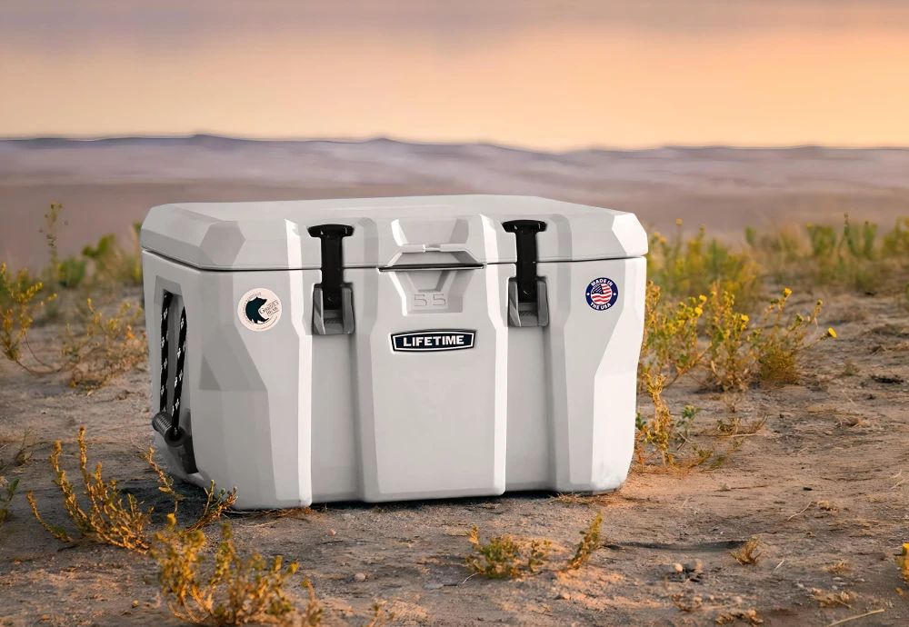 portable ice cream cooler box