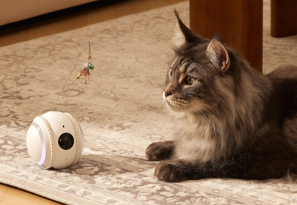 cameras to watch pets